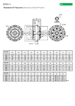 PowerGear D Leistungstabelle P Version 1